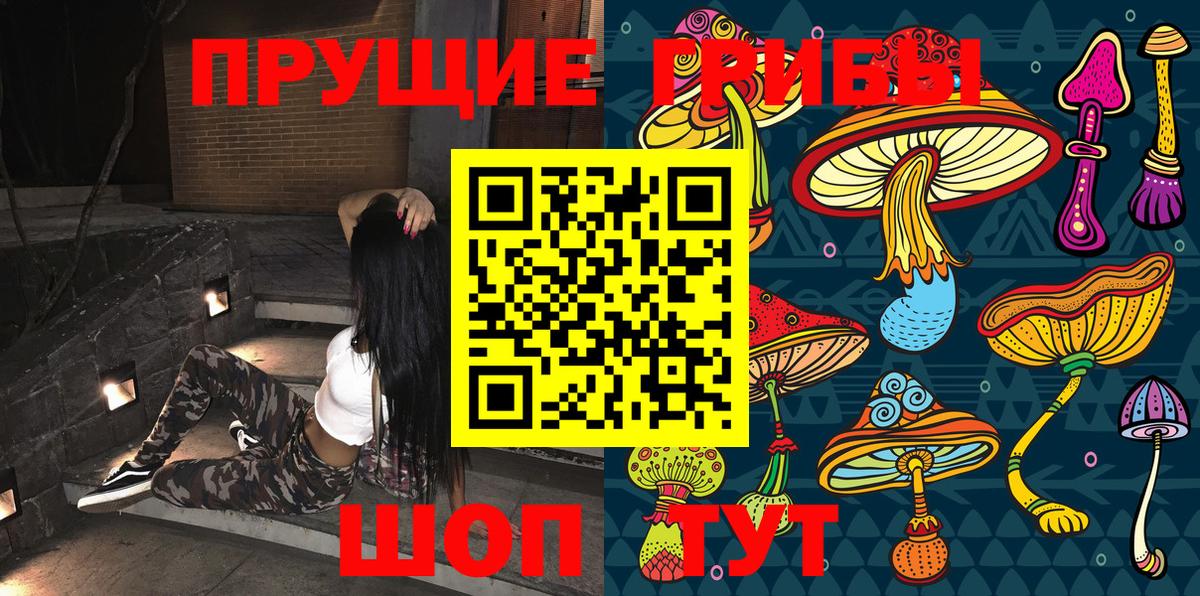 Галлюциногенные грибы Psilocybe Аша